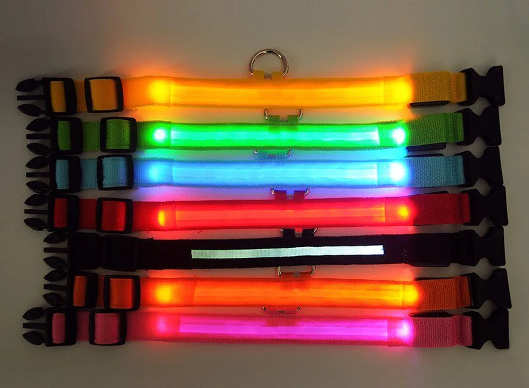 LED Dog Collar – Adjustable Light Up, Glow-in-the-Dark, Waterproof Safety Collar with 3 Flash Modes (XS–XL, Multiple Colors)