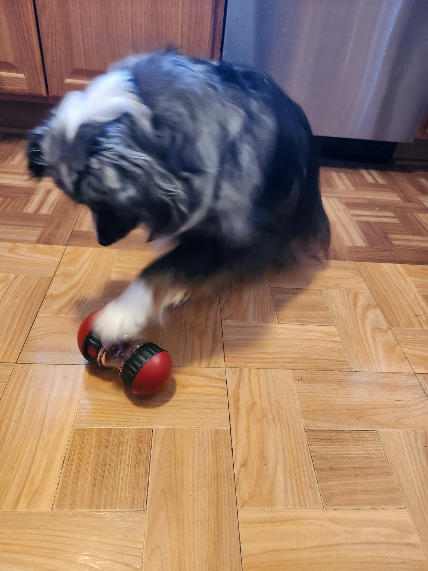 Interactive Slow Feeder Dog Toy - Perfect for Small to Large Pets, Indoor IQ Training, and Healthy Eating