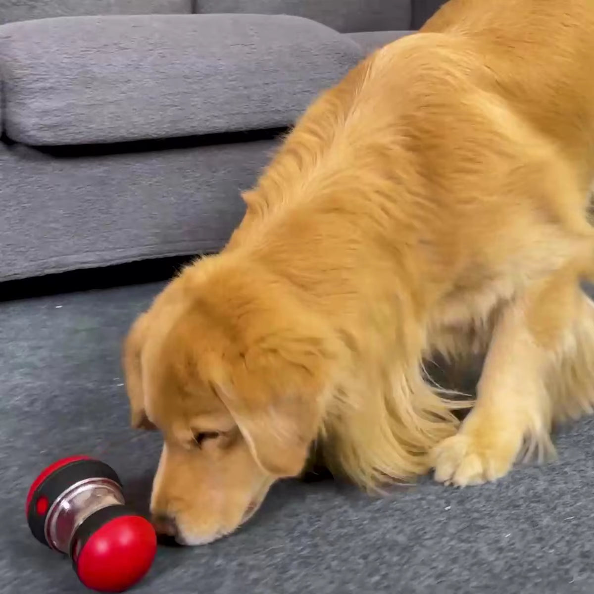 Interactive Slow Feeder Dog Toy - Perfect for Small to Large Pets, Indoor IQ Training, and Healthy Eating