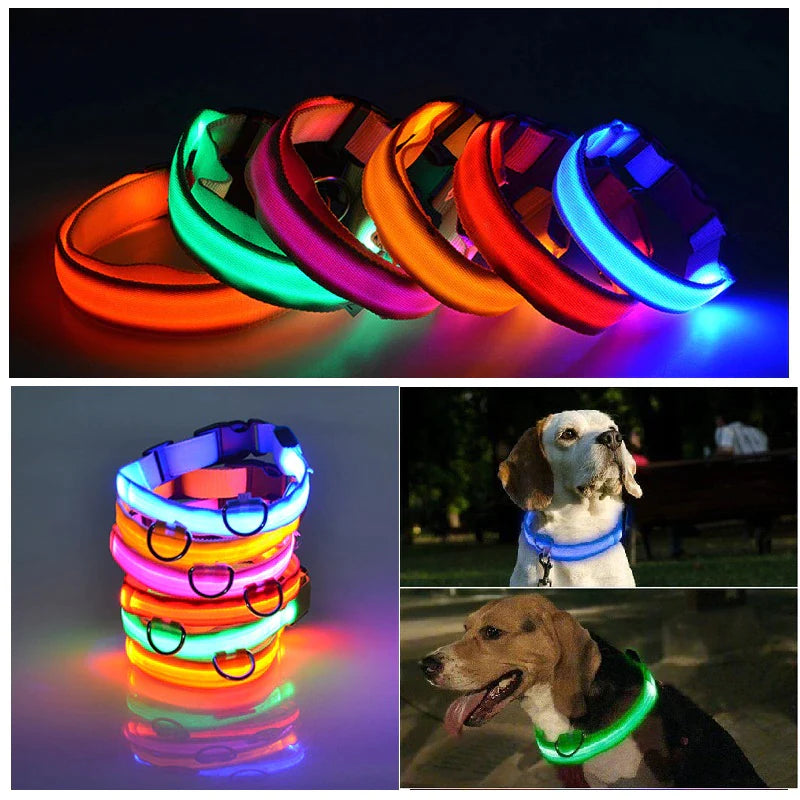 LED Dog Collar – Adjustable Light Up, Glow-in-the-Dark, Waterproof Safety Collar with 3 Flash Modes (XS–XL, Multiple Colors)