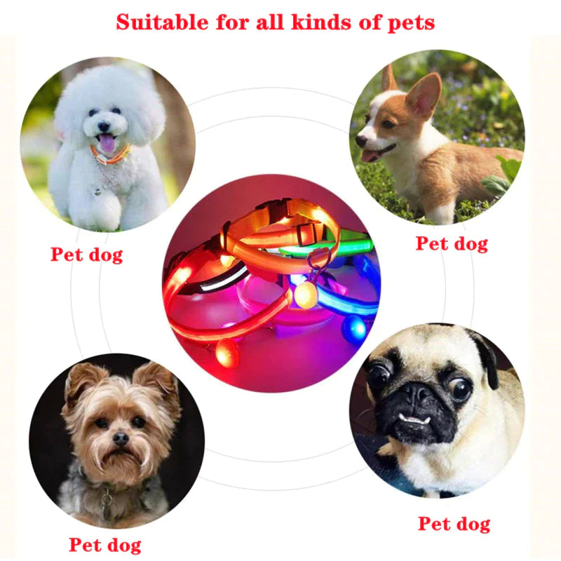 LED Dog Collar – Adjustable Light Up, Glow-in-the-Dark, Waterproof Safety Collar with 3 Flash Modes (XS–XL, Multiple Colors)
