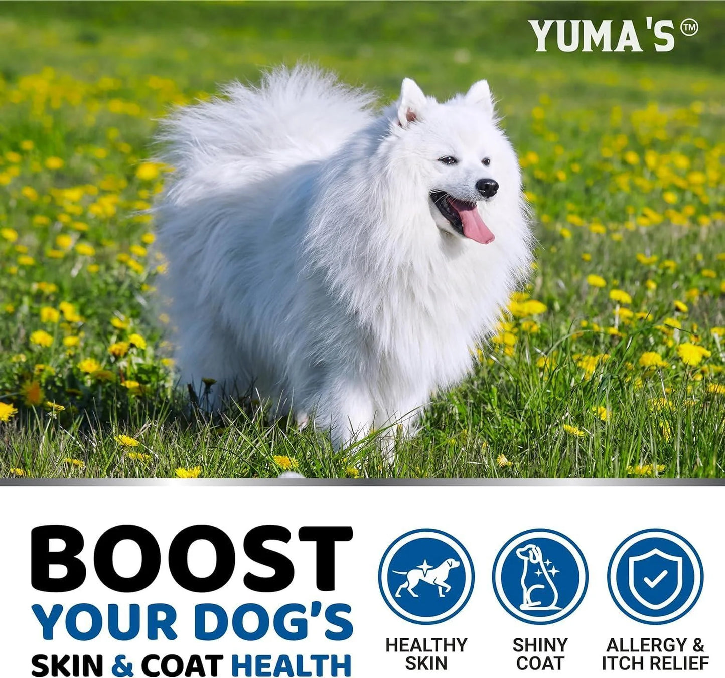 Omega 3 Fish Oil for Dogs – 2 Pack Skin & Coat Supplement for Itchy Skin, Shedding, Hot Spots & Dry Skin Relief