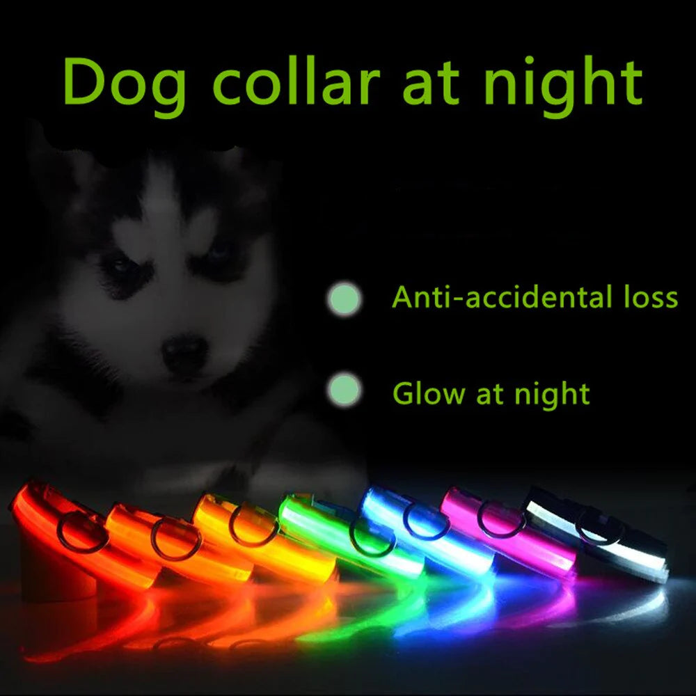 LED Dog Collar – Adjustable Light Up, Glow-in-the-Dark, Waterproof Safety Collar with 3 Flash Modes (XS–XL, Multiple Colors)