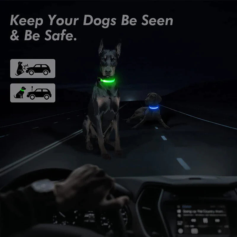 LED Dog Collar – Adjustable Light Up, Glow-in-the-Dark, Waterproof Safety Collar with 3 Flash Modes (XS–XL, Multiple Colors)