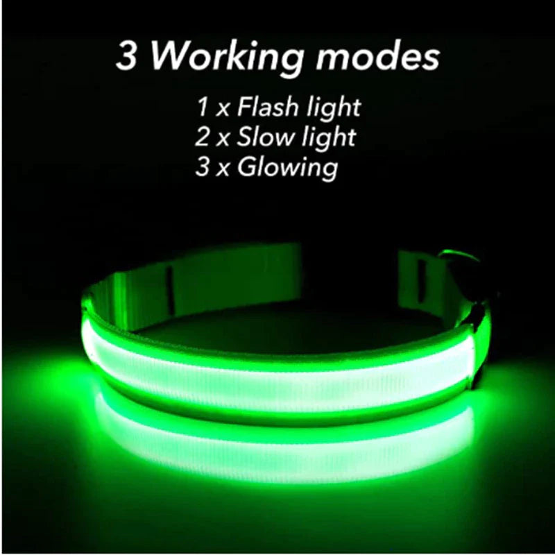 LED Dog Collar – Adjustable Light Up, Glow-in-the-Dark, Waterproof Safety Collar with 3 Flash Modes (XS–XL, Multiple Colors)