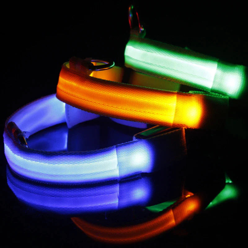 LED Dog Collar – Adjustable Light Up, Glow-in-the-Dark, Waterproof Safety Collar with 3 Flash Modes (XS–XL, Multiple Colors)