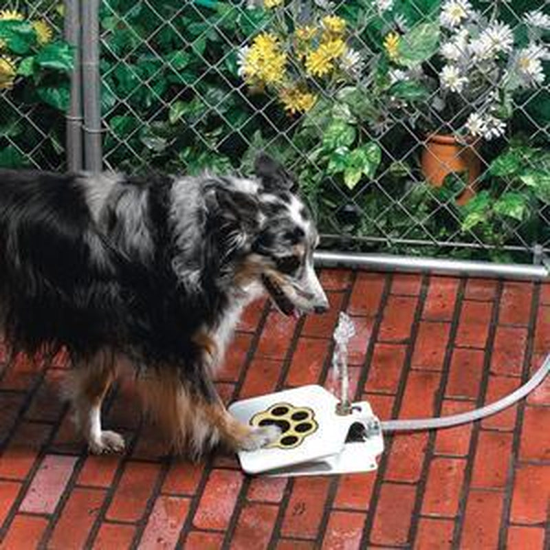 Dog Water Fountain with Hose – Paw-Activated Outdoor Hydration with Splitter & 41" Hose