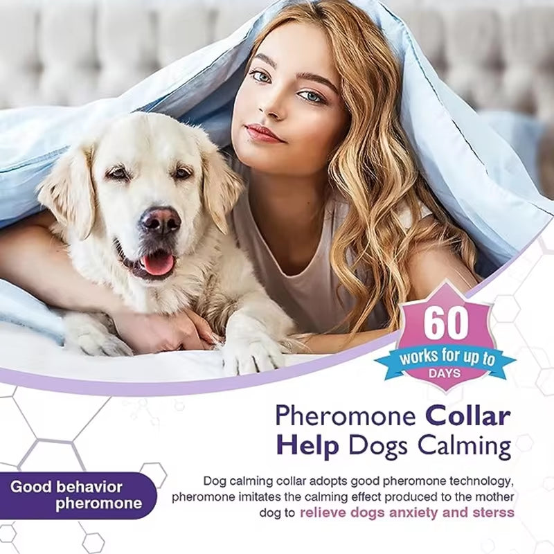Pet Anxiety Collar – Anti-Stress Pheromone