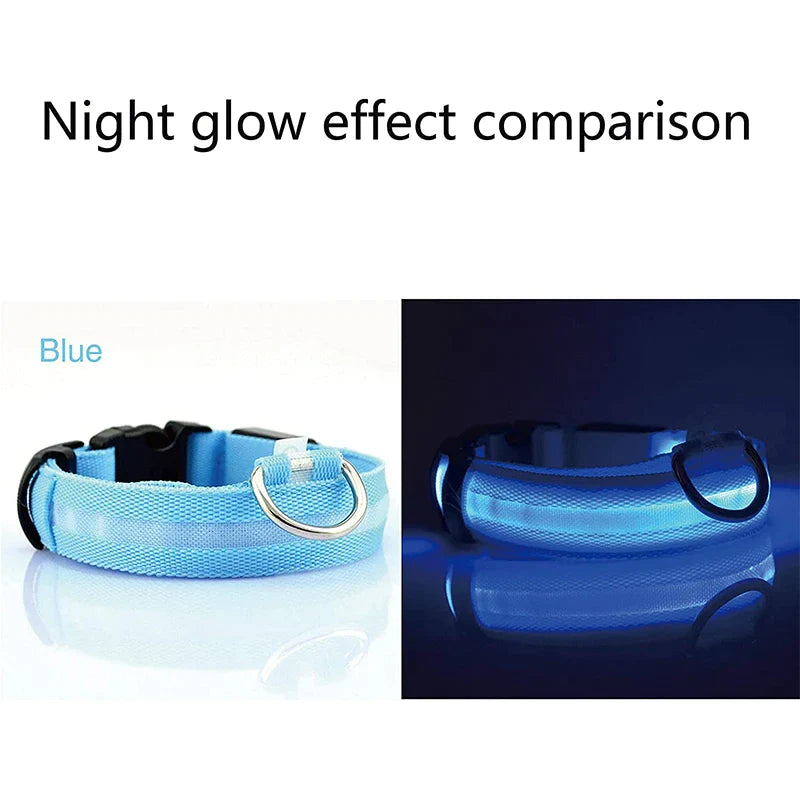LED Dog Collar – Adjustable Light Up, Glow-in-the-Dark, Waterproof Safety Collar with 3 Flash Modes (XS–XL, Multiple Colors)