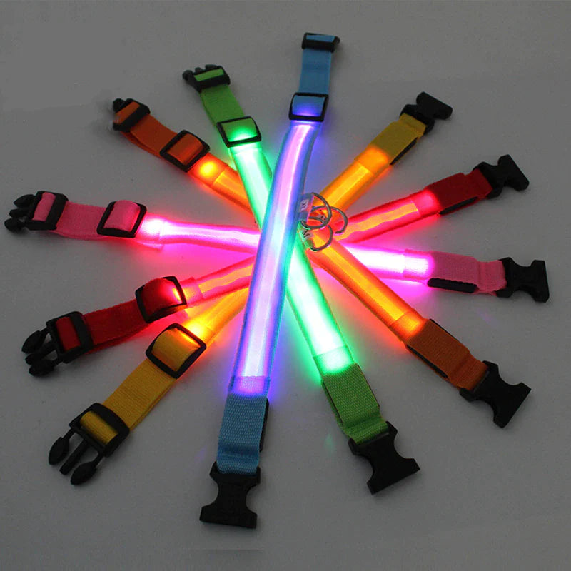 LED Dog Collar – Adjustable Light Up, Glow-in-the-Dark, Waterproof Safety Collar with 3 Flash Modes (XS–XL, Multiple Colors)