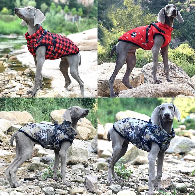 Waterproof Winter Dog Jacket with Harness – Warm Pet Coat for Large & Small Dogs (Labrador, French Bulldog, Chihuahua)