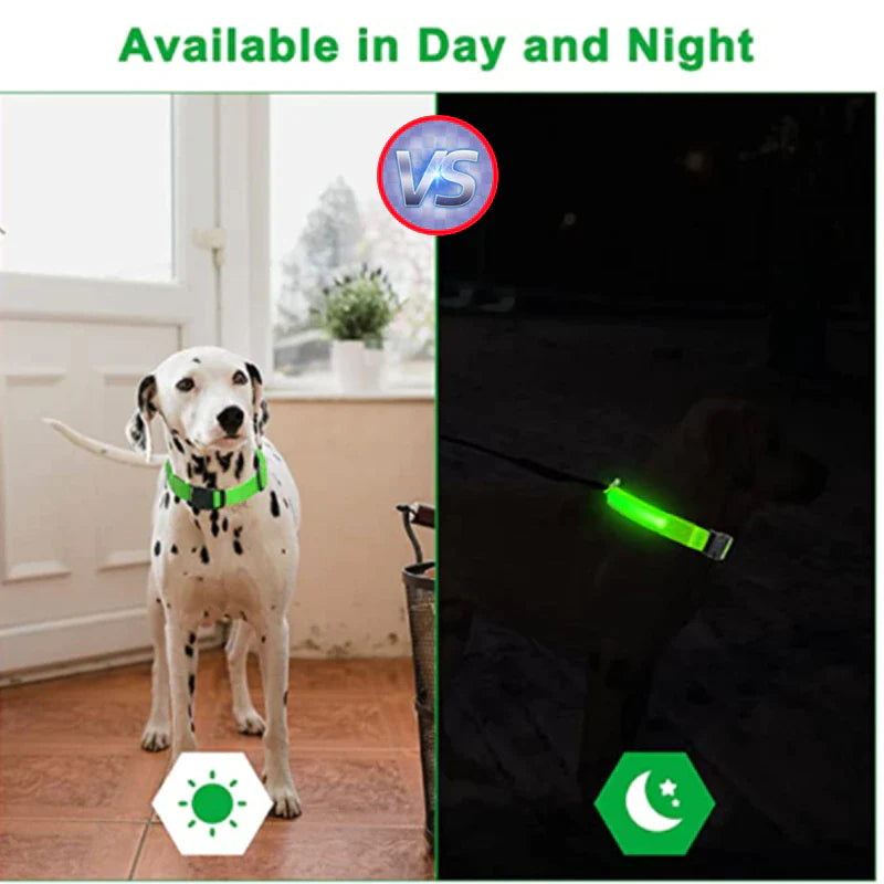 LED Dog Collar – Adjustable Light Up, Glow-in-the-Dark, Waterproof Safety Collar with 3 Flash Modes (XS–XL, Multiple Colors)