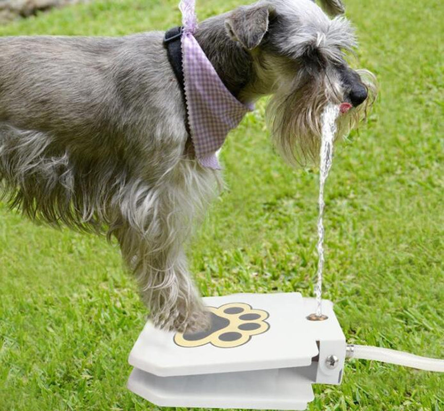 Dog Water Fountain with Hose – Paw-Activated Outdoor Hydration with Splitter & 41" Hose