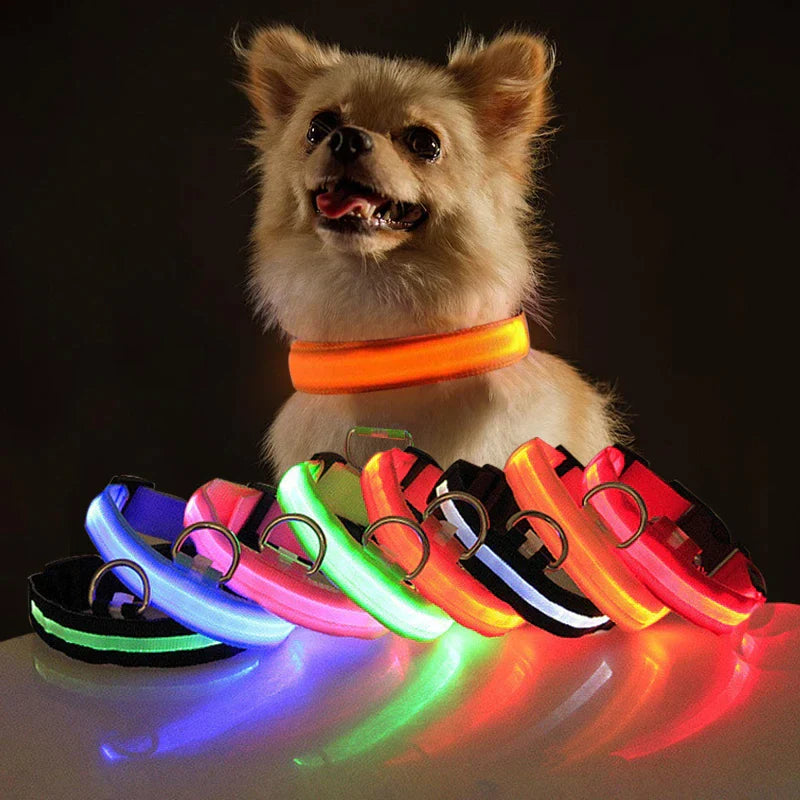 LED Dog Collar – Adjustable Light Up, Glow-in-the-Dark, Waterproof Safety Collar with 3 Flash Modes (XS–XL, Multiple Colors)