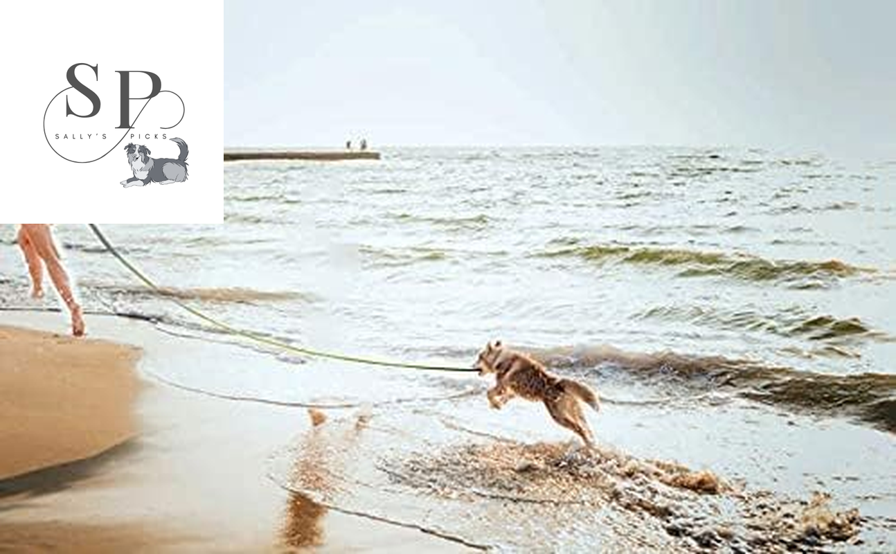 20FT Long Dog Training Leash – Heavy-Duty Nylon Recall Lead for Small & Medium Dogs – Obedience Leash for Backyard, Camping, Hiking, and Outdoor Play