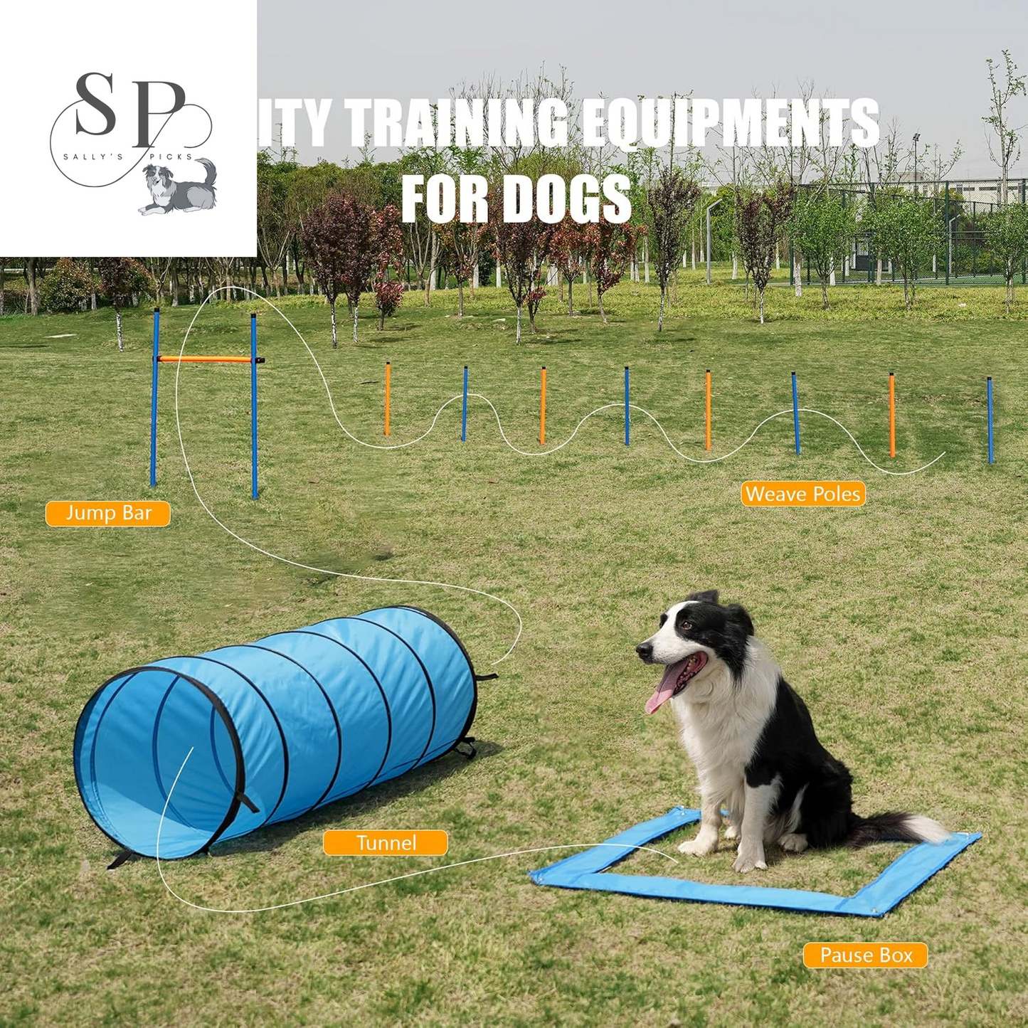 Dog Agility Training Equipment Set – Outdoor Pet Obstacle Course Kit with Tunnel, Adjustable Hurdles, Pause Box, Toys & Carrying Bag – Durable & Easy Setup for Small, Medium & Large Dogs