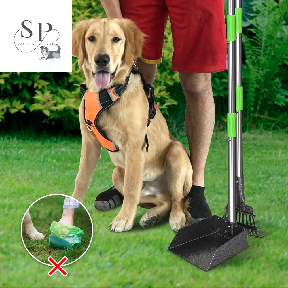 Dog Pooper Scooper with Long Handle β Heavy-Duty Stainless-Steel Tray & Rake Set, 38" No-Bend Design for Small & Medium Dogs, Easy Clean & Rust-Proof for Grass, Dirt, Gravel