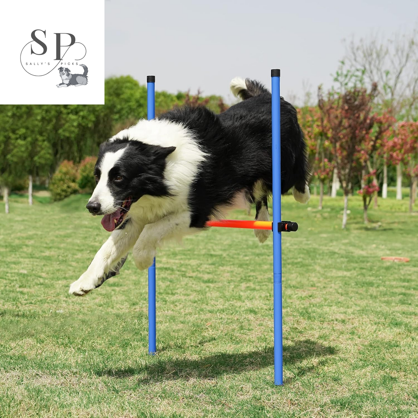 Dog Agility Training Equipment Set – Outdoor Pet Obstacle Course Kit with Tunnel, Adjustable Hurdles, Pause Box, Toys & Carrying Bag – Durable & Easy Setup for Small, Medium & Large Dogs