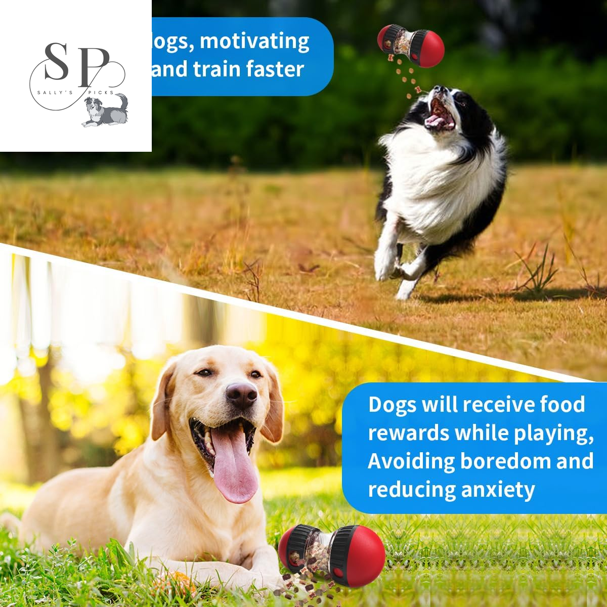 Interactive Slow Feeder Dog Toy - Perfect for Small to Large Pets, Indoor IQ Training, and Healthy Eating