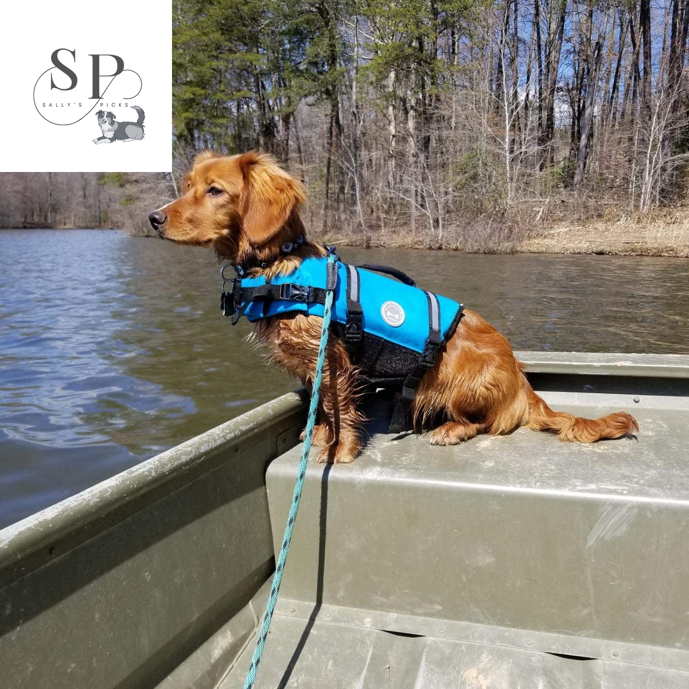 Dog Life Jacket – Safety Vest for Small, Medium & Large Dogs – Blue