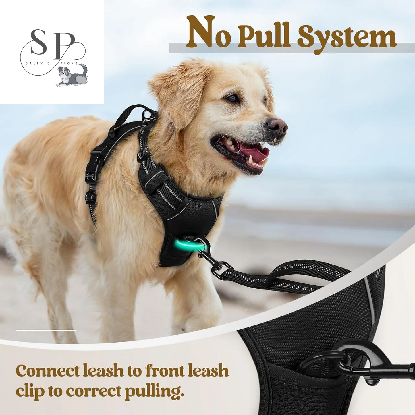 No-Pull Dog Harness for Large Dogs – Adjustable Reflective Pet Vest with 2 Leash Clips & Handle – Soft Padded Oxford Harness for Outdoor Walks, Black