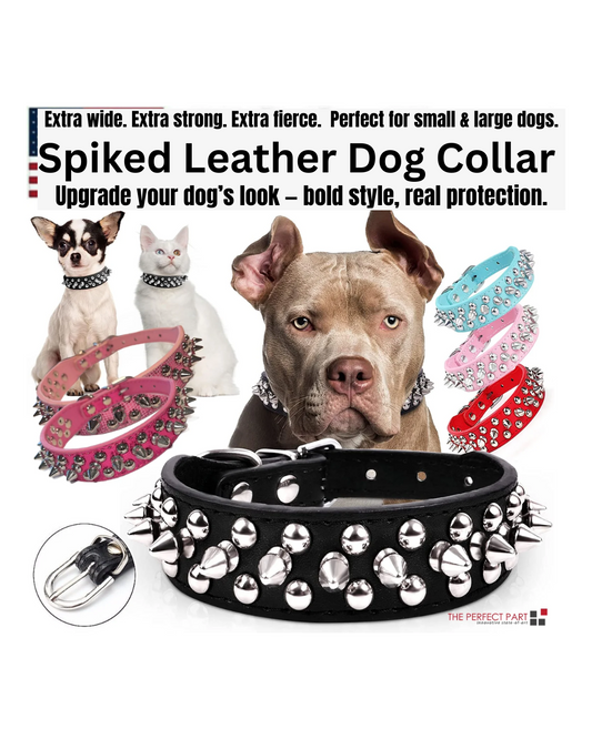 Spiked Leather Dog Collar – Cool Punk Style