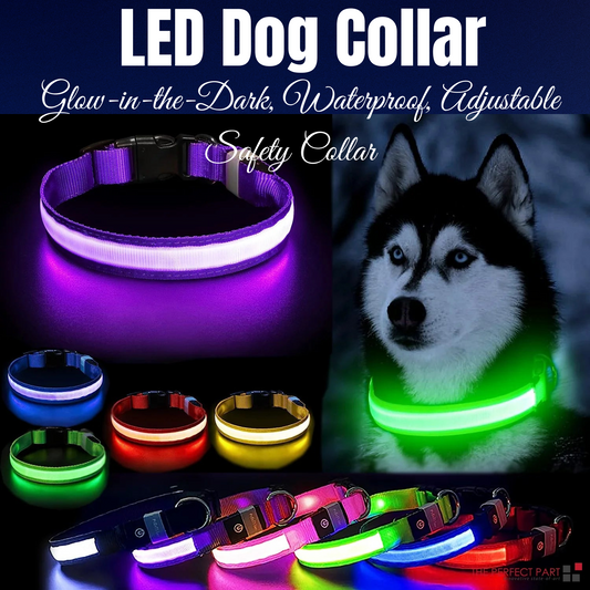 LED Dog Collar – Adjustable Light Up, Glow-in-the-Dark, Waterproof Safety Collar with 3 Flash Modes (XS–XL, Multiple Colors)