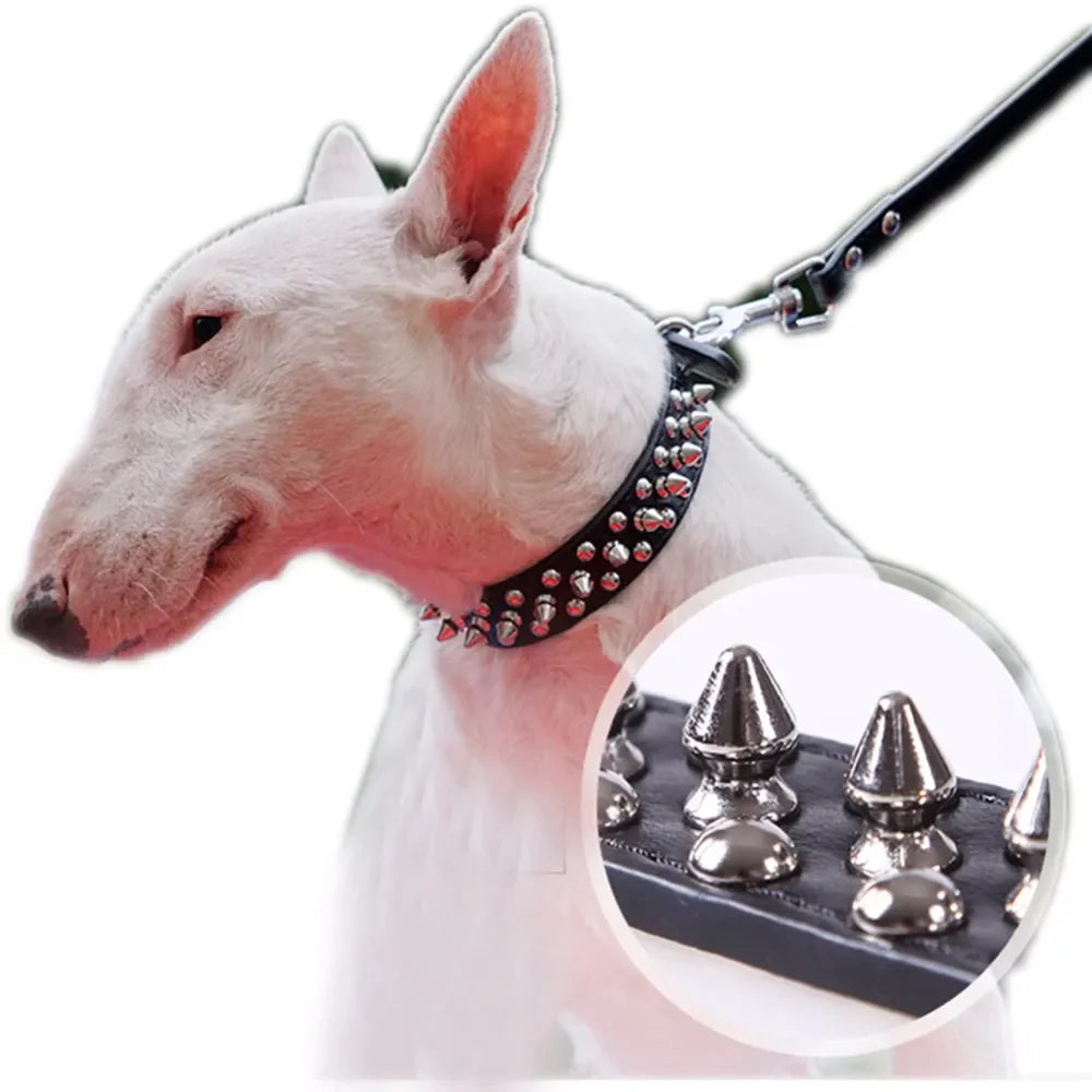 Spiked Leather Dog Collar – Cool Punk Style