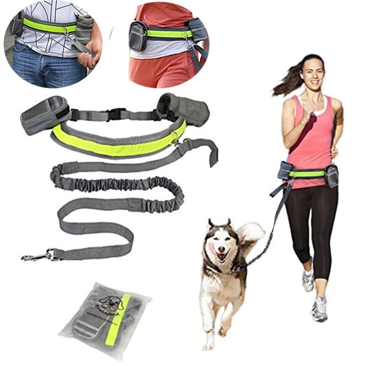 Reflective Hands-Free Dog Leash & Waist Belt Set – Adjustable for Running, Jogging, Walking, Training
