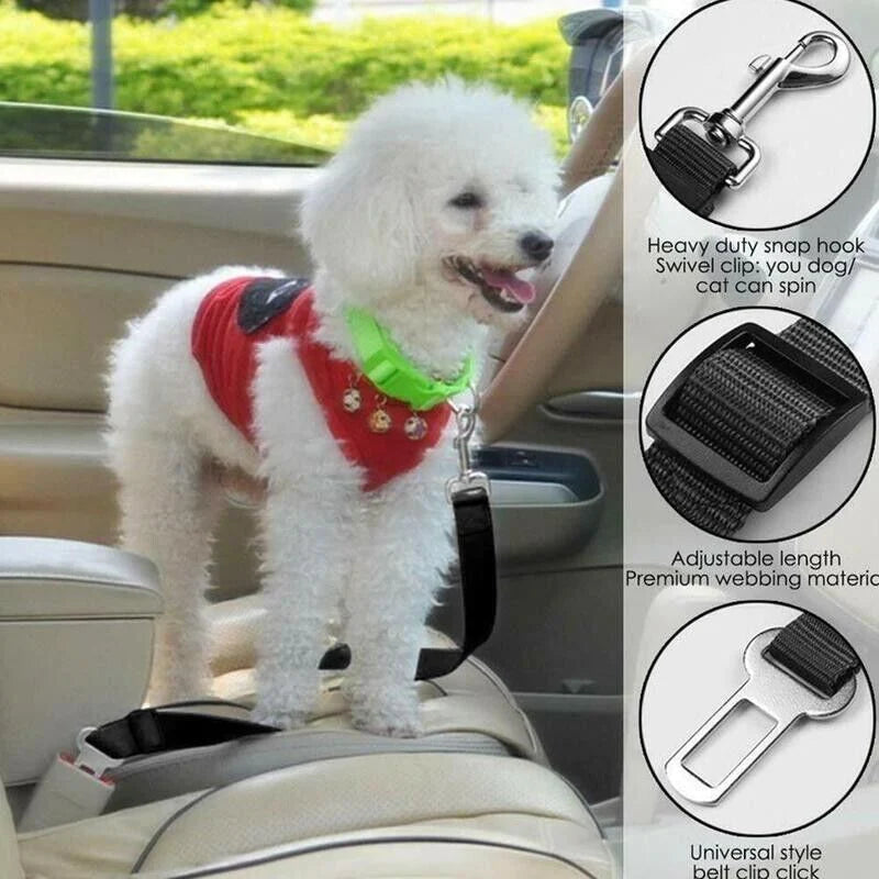 Ultimate 2-Pack Pet Seatbelt Harness for Safe and Comfortable Car Rides - Adjustable for Dogs and Cats, Durable Nylon with Universal Fit