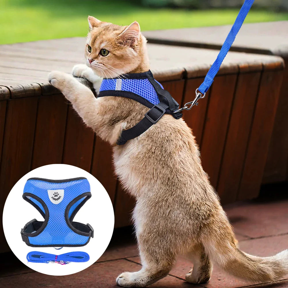 Adjustable Reflective Pet Harness for Cats and Dogs - Escape Proof Control Vest with Leash in Multiple Sizes