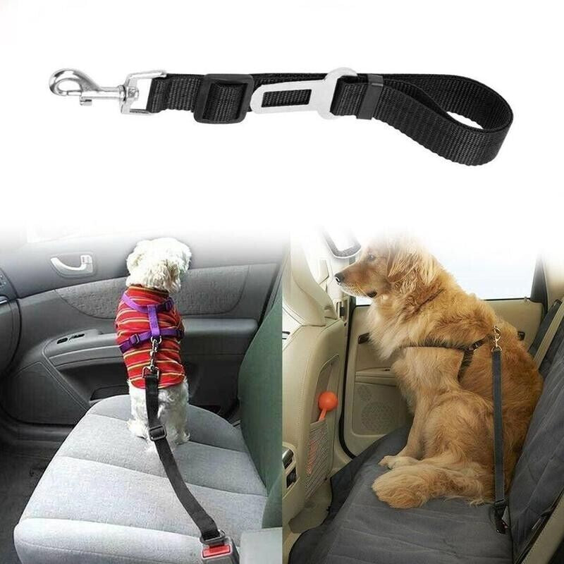 Ultimate 2-Pack Pet Seatbelt Harness for Safe and Comfortable Car Rides - Adjustable for Dogs and Cats, Durable Nylon with Universal Fit