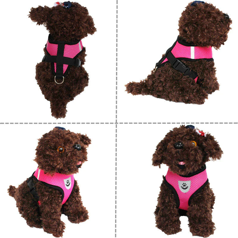 Adjustable Reflective Pet Harness for Cats and Dogs - Escape Proof Control Vest with Leash in Multiple Sizes