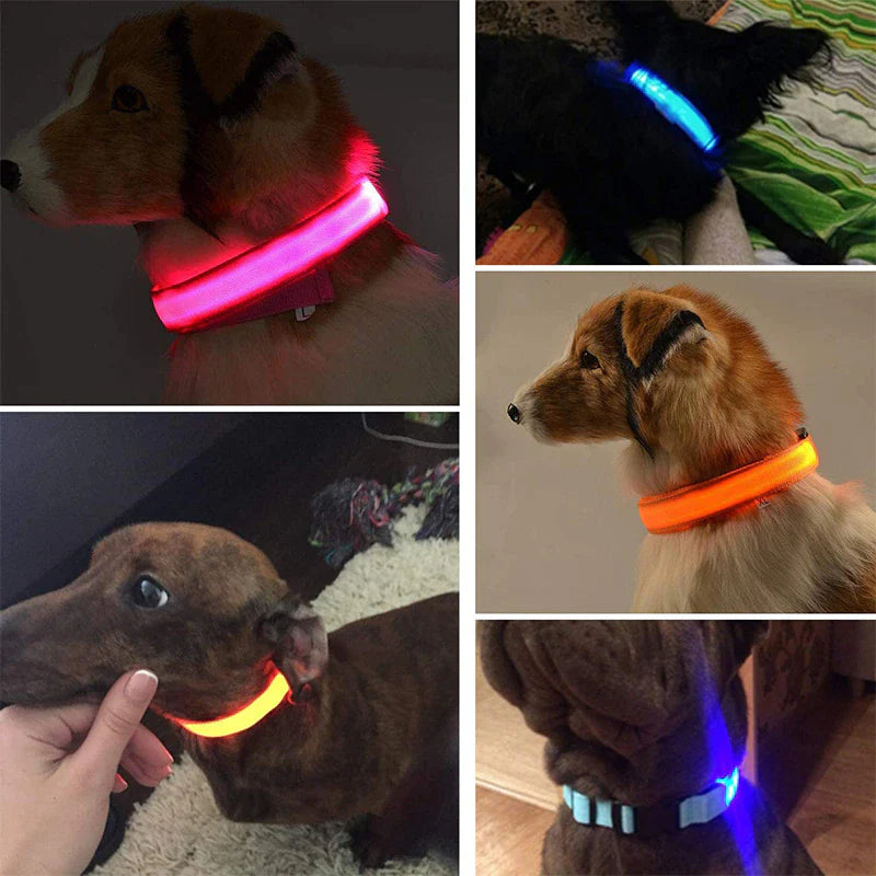 LED Dog Collar – Adjustable Light Up, Glow-in-the-Dark, Waterproof Safety Collar with 3 Flash Modes (XS–XL, Multiple Colors)