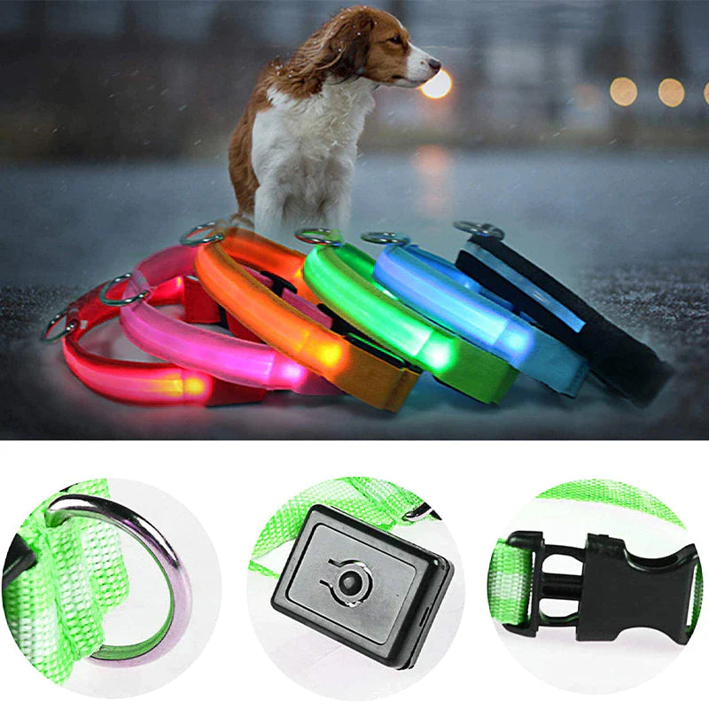 LED Dog Collar – Adjustable Light Up, Glow-in-the-Dark, Waterproof Safety Collar with 3 Flash Modes (XS–XL, Multiple Colors)