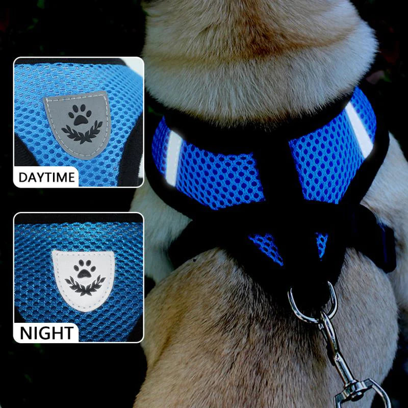 Adjustable Reflective Pet Harness for Cats and Dogs - Escape Proof Control Vest with Leash in Multiple Sizes