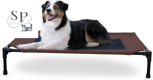 Elevated Dog Cot - Outdoor – Breathable Mesh Cooling Bed, Portable Raised Hammock Pet Cot with Washable Cover & Sturdy Metal Frame – Large 42" x 30", Chocolate