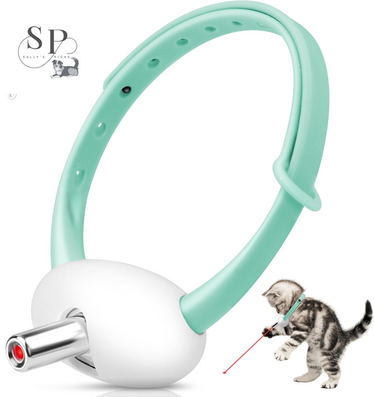 Smart LED Laser Cat, Dog Collar – Wearable Interactive Toy for Dogs, Kittens & Cats