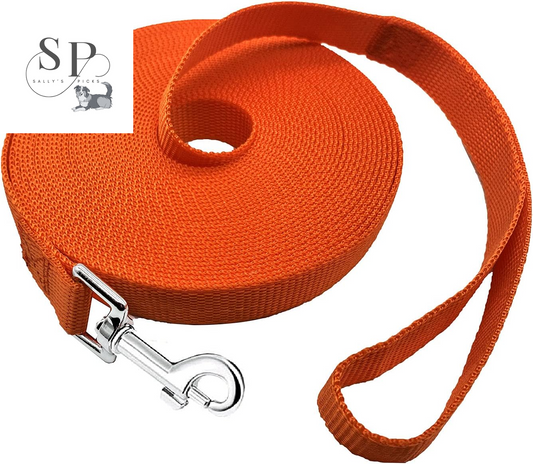 20FT Long Dog Training Leash – Heavy-Duty Nylon Recall Lead for Small & Medium Dogs – Obedience Leash for Backyard, Camping, Hiking, and Outdoor Play