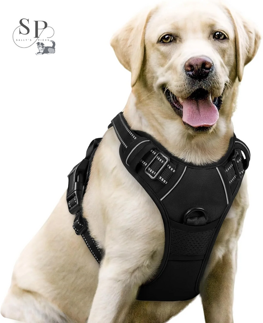 No-Pull Dog Harness for Large Dogs – Adjustable Reflective Pet Vest with 2 Leash Clips & Handle – Soft Padded Oxford Harness for Outdoor Walks, Black