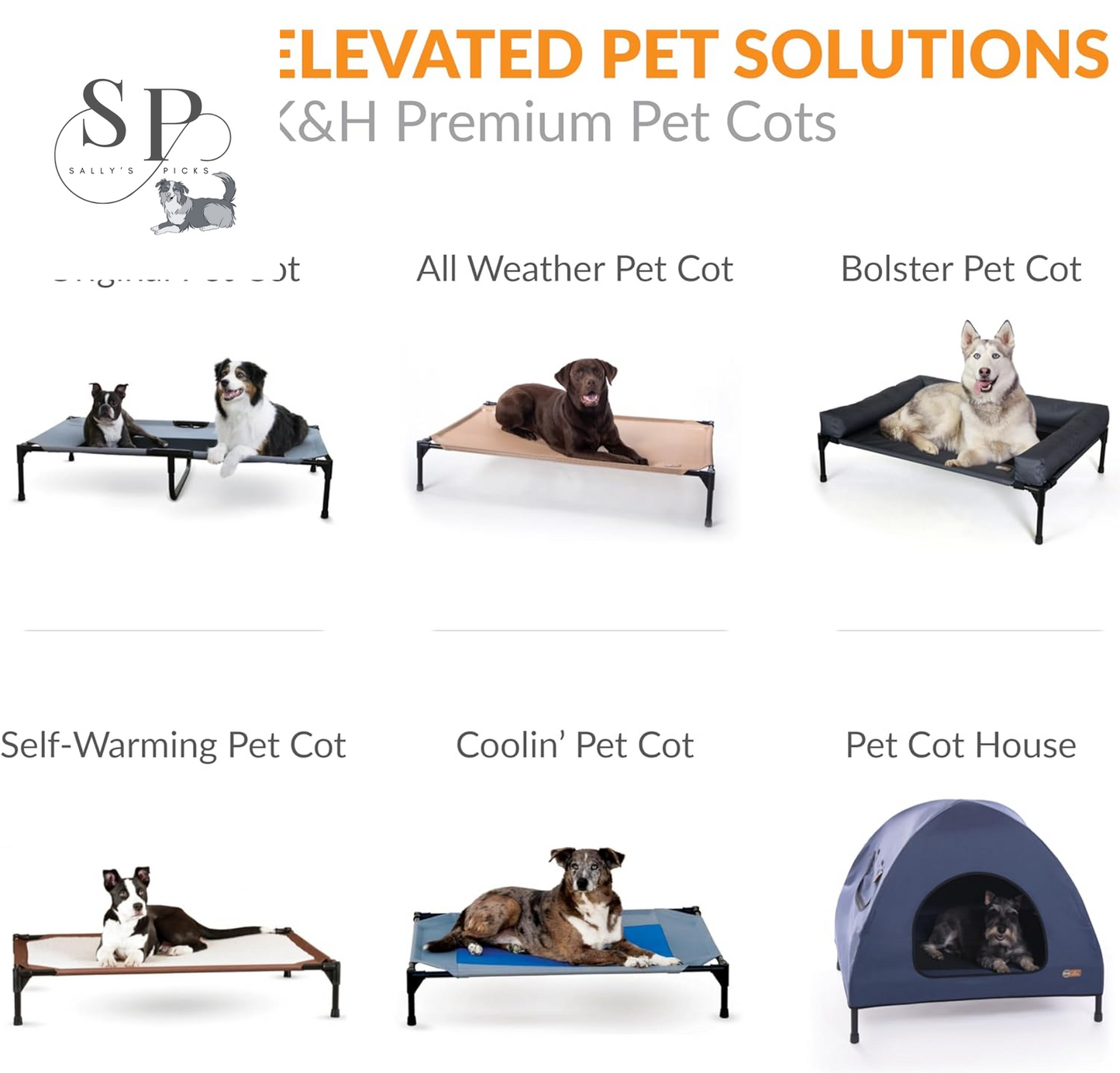 Elevated Dog Cot - Outdoor – Breathable Mesh Cooling Bed, Portable Raised Hammock Pet Cot with Washable Cover & Sturdy Metal Frame – Large 42" x 30", Chocolate